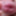 Urethra play and syringe close up photo&#039;s  #10