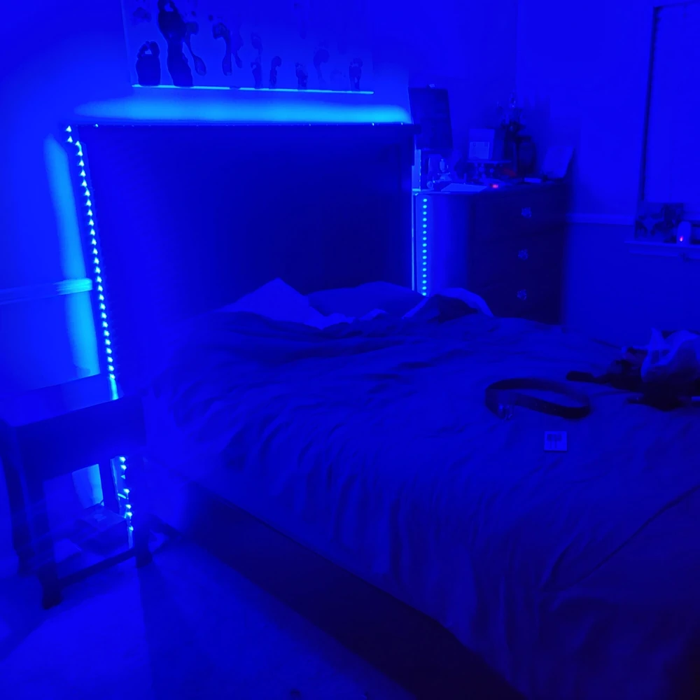 The set up #5
