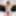 ASIAN TGIRL: Nana&#039;s Looking Tasty!