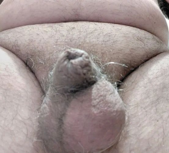 small and useless cock for whoever wants #2