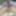 Tiny Dick from 20CM #5