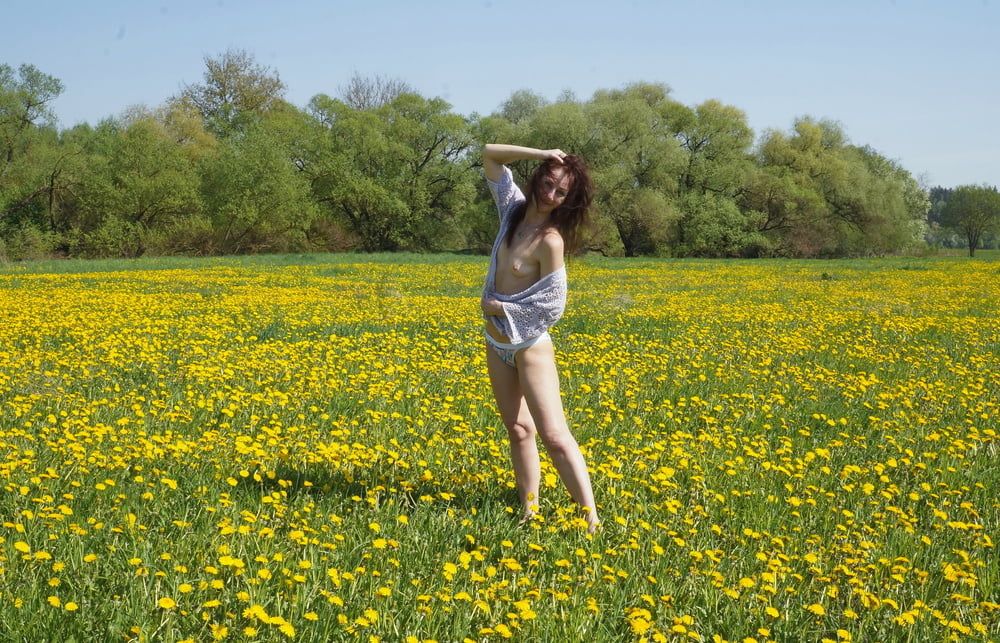 Yellow Meadow #33