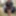 Amateur crossdresser Kellycd2022 peeing and masturbating 