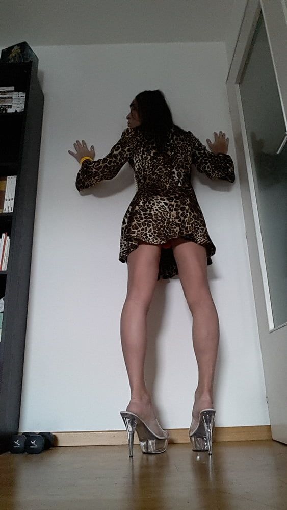 Tygra in her new leopard dress. #32