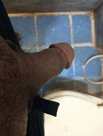 Dick 