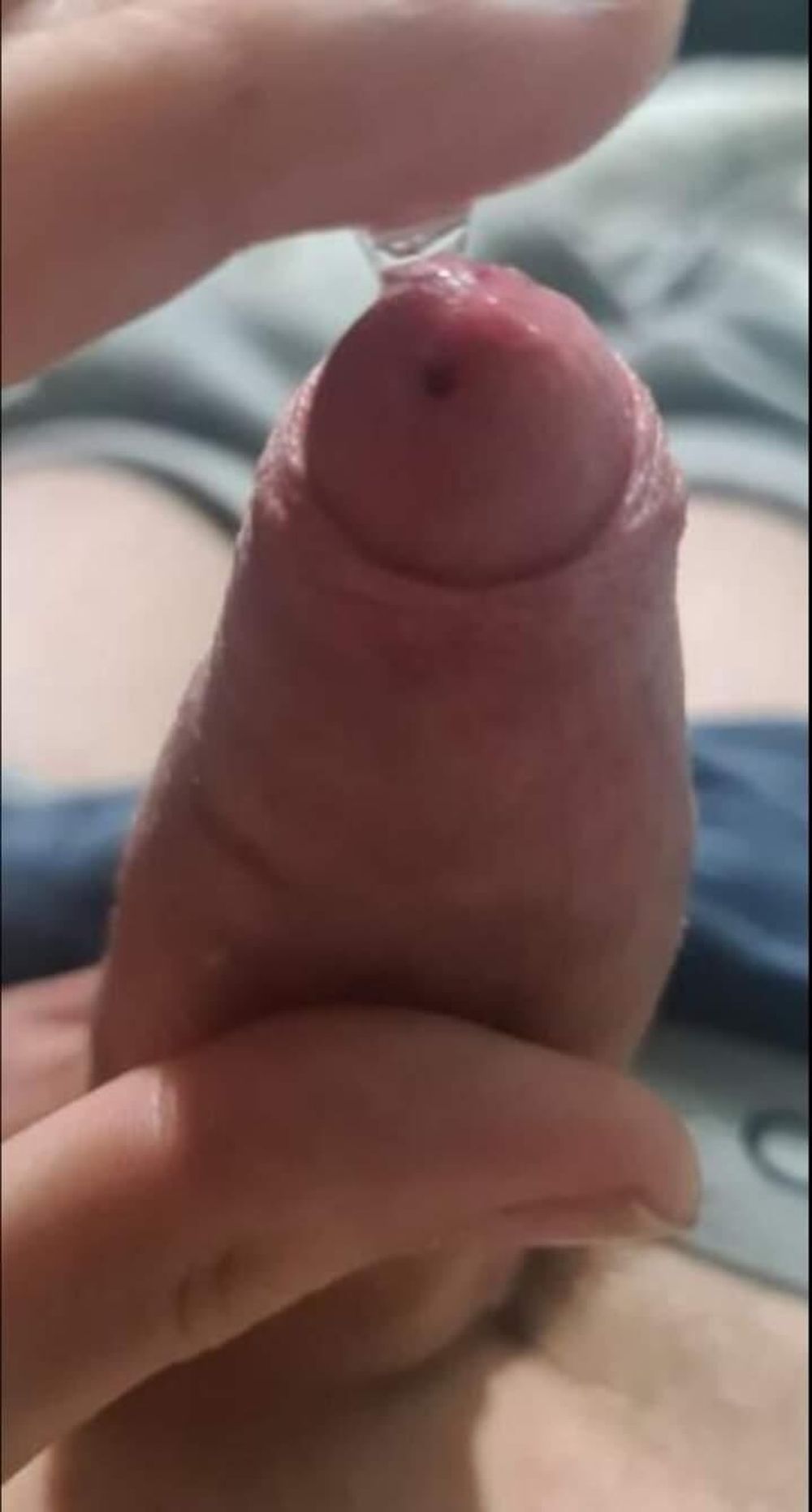 Cock  #2