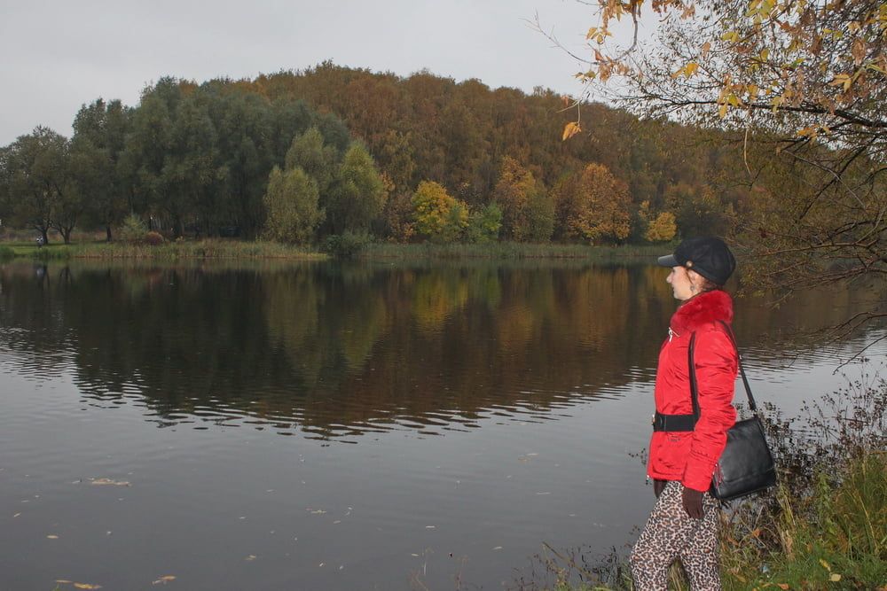 red jacket and yellow leaves #8