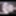 NipplesMcGee Gif"z