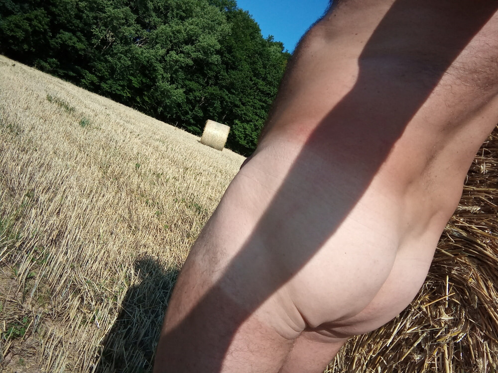 Le 30 Juillet 2020 . #31