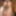Mavi and Bella Free Photos