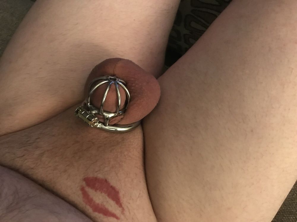 Sissy in chastity