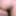 Double penetration, NICE ANAL CLOSE UP! Vol 3 #11