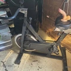 Exercise ride