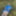 Cover up, reveal #37
