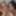 Alice and Sunny Free Photos
