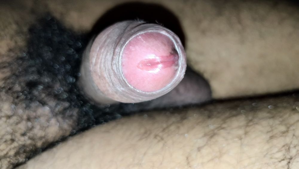 Hairy Cock and Ass 2 #16