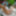 Golden shower lover Isabella empties herself in the garden #17
