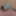 Mandatory daily checks and Toys January 01, 2024 #20