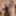 Blonde with tattoos does a striptease outside