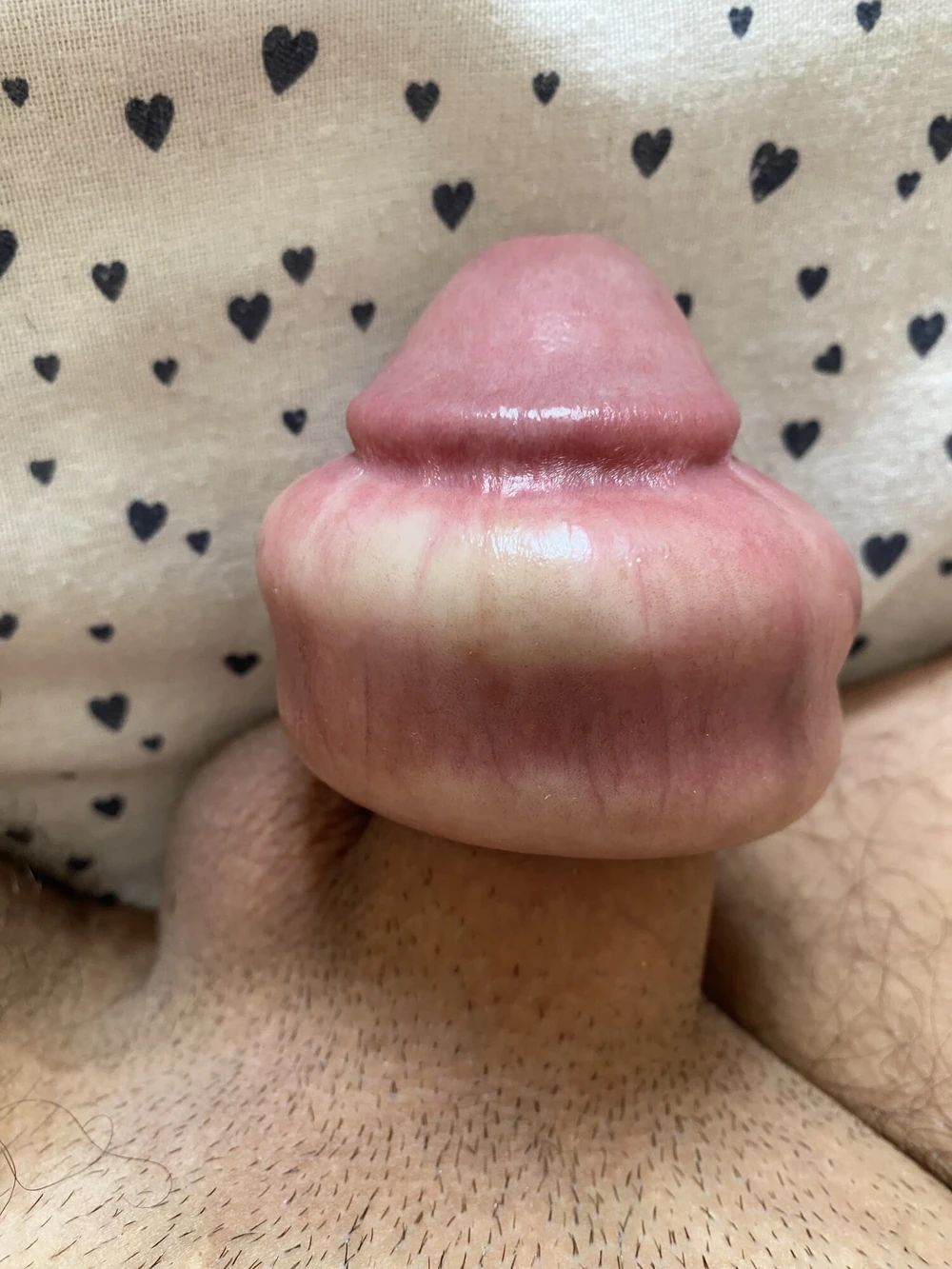 Penis extreme humiliation porn #4
