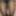 バイセックス