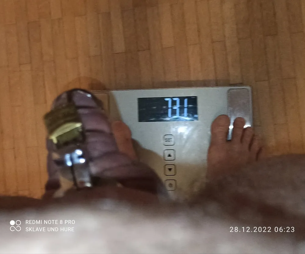 mandatory weighing and cagecheck of 28.12.2022 #7