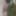 All nude in the woods (may 2020)