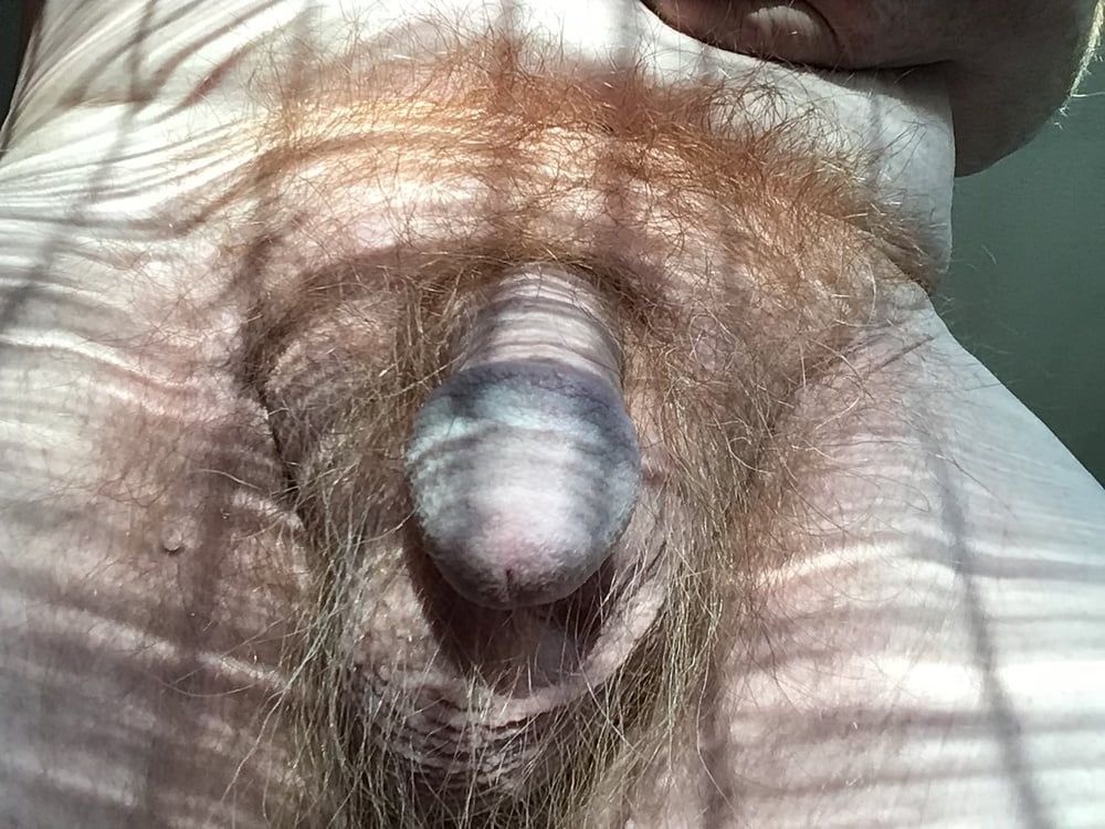 Hot summer cock