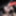 Mixed pics from the gangbang party with Nora Wildlife