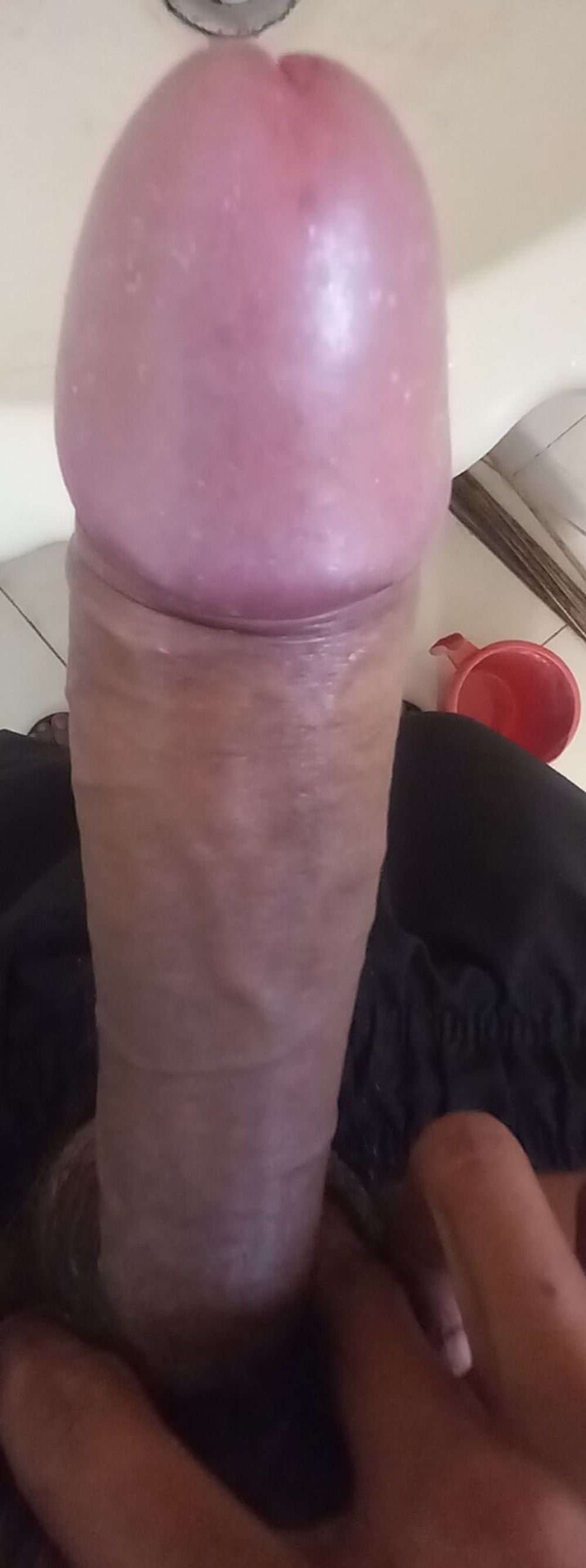 Bathroom cock suking big dick #3