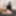 GROOBY-ARCHIVES: AA Meeting Today