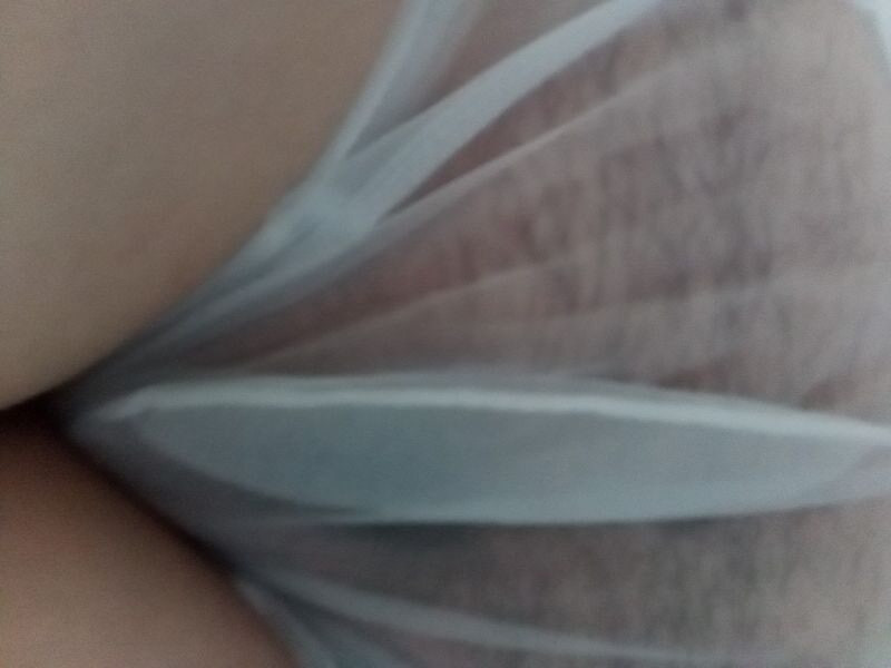 Hairy pussy in sheer panties #4