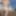 Denver Shoemaker Fun Bikini Gifs