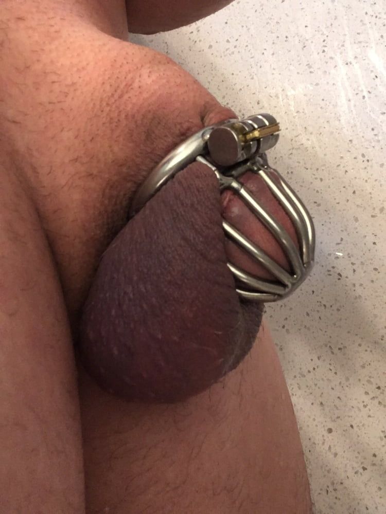 Post cage tortured cock #3