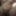 Huge dildo close up 