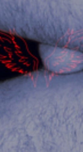 Hairy Chest, Shaved Balls, Tied Ass #9