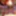 CAMLive (1mar23) PetaSse Rose