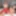 BRAZILIAN TRANSSEXUALS: Glowing T-Lesbian Footage Coming Up