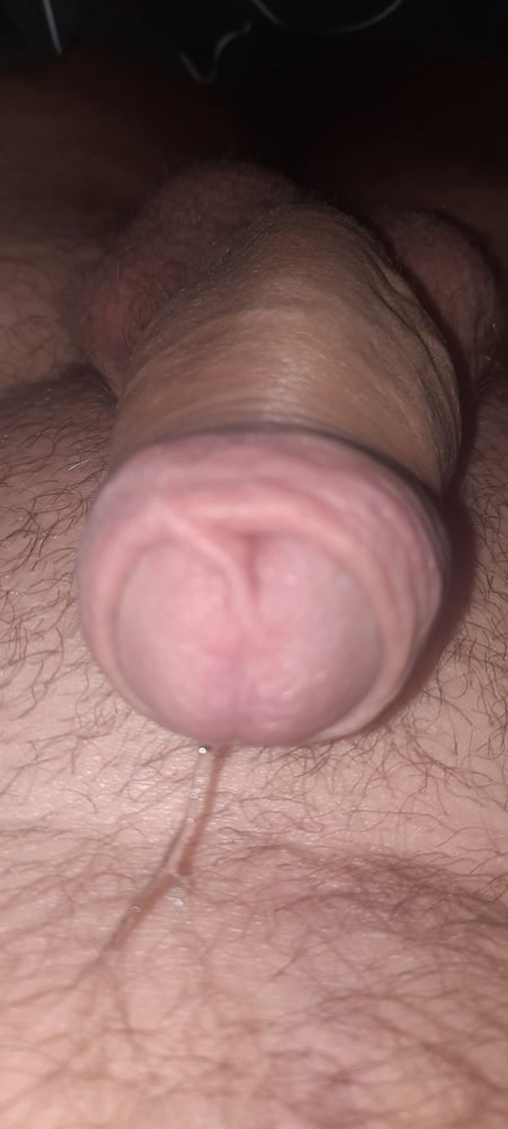 Horny  #3