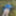 Cover up, reveal #45