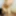 Srilankan mom full naked at office wosh room