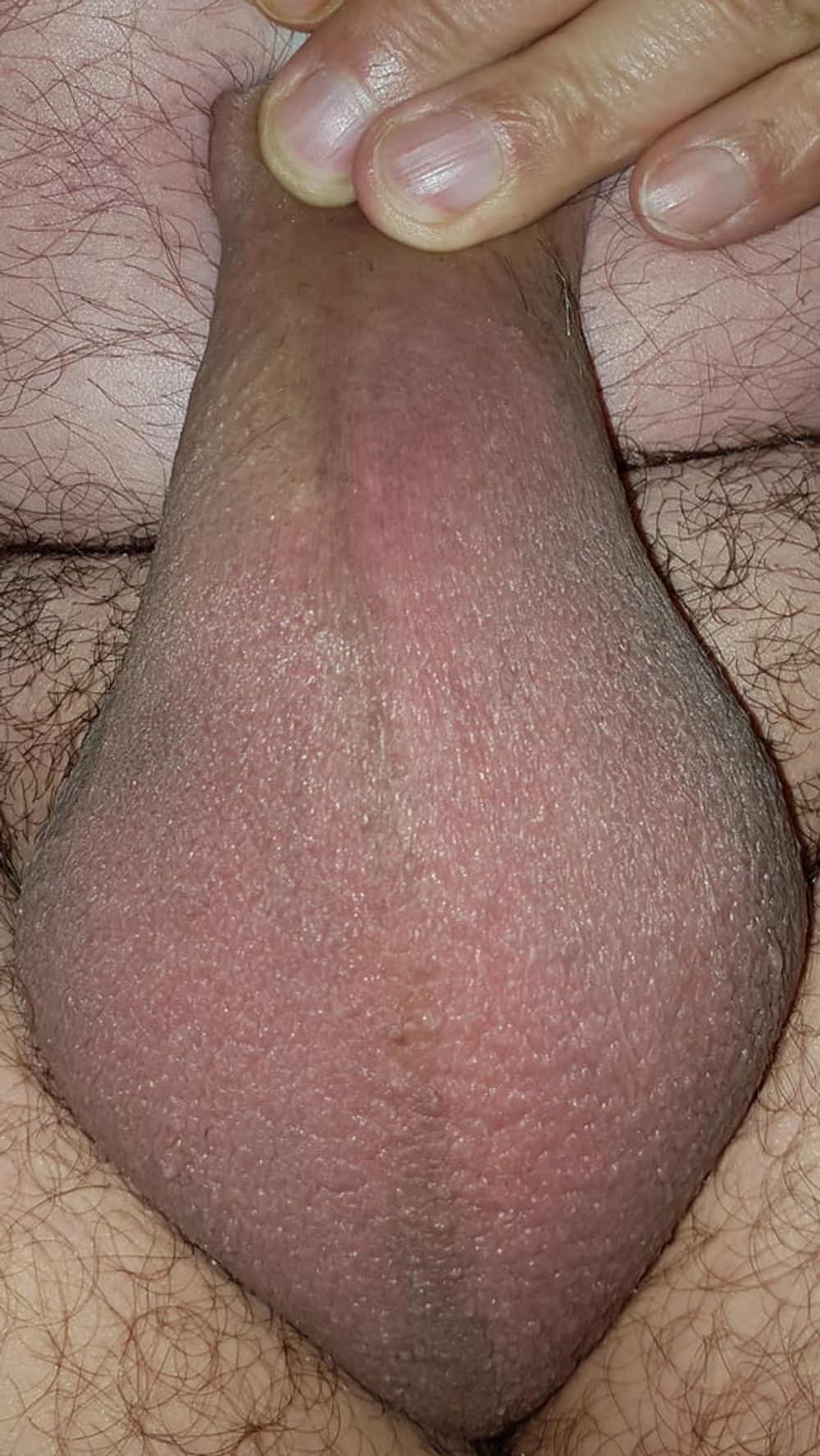 Shaved #3