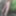 Tygra slut nude in the forest of the Robertsau. #21
