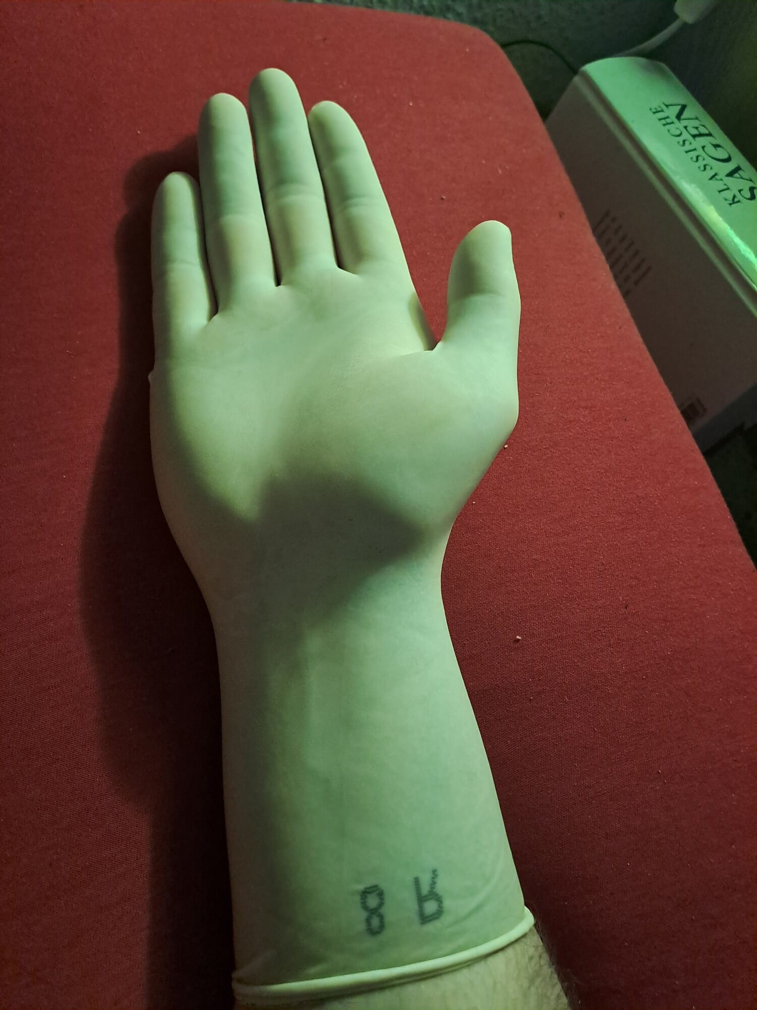 Latex Gloves  #5