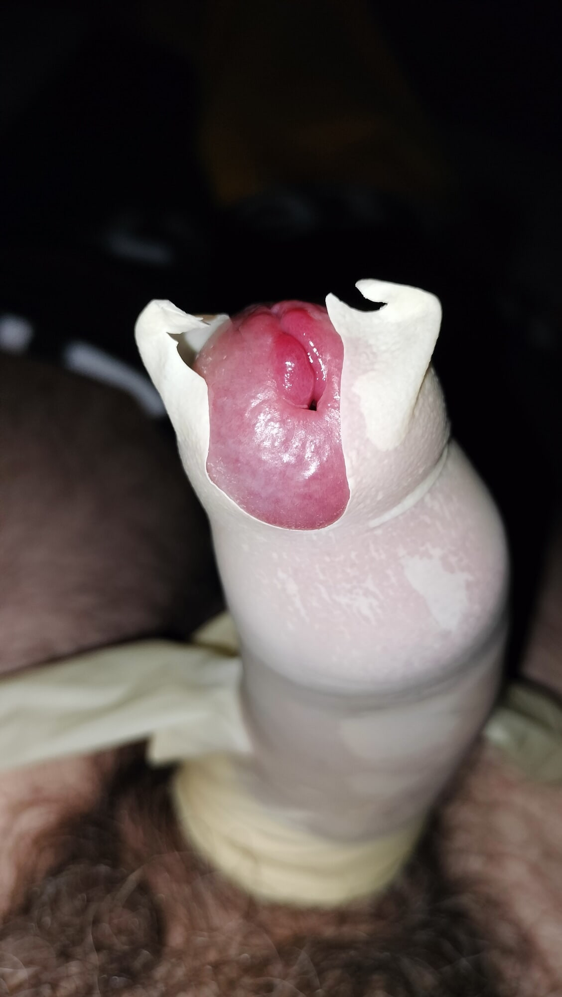 cock harnessed close up  #4