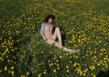 naked in meadow         