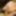 The head of the penis without the foreskin  #6