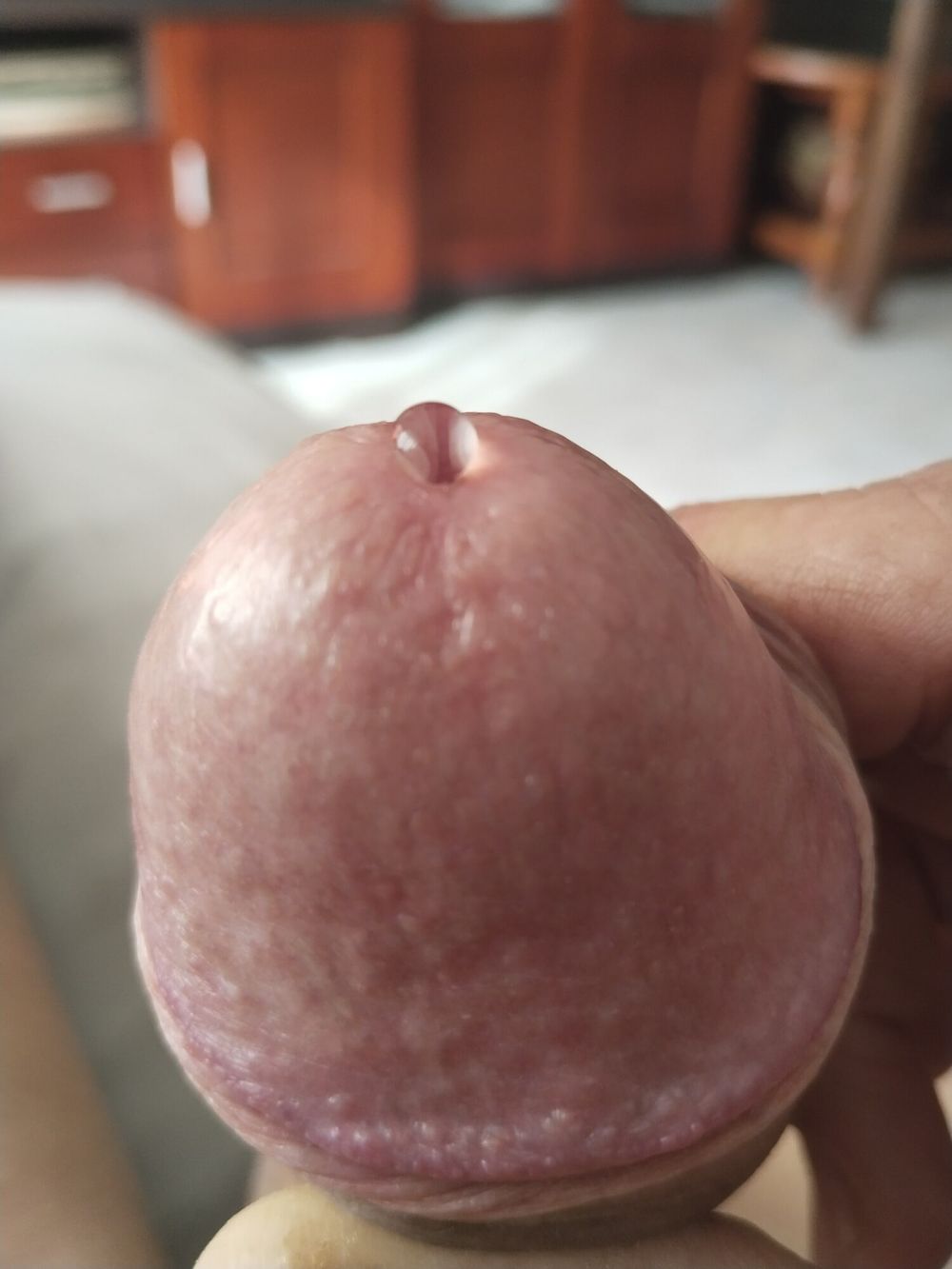 Hard gland, shaved cock, precum drop #5