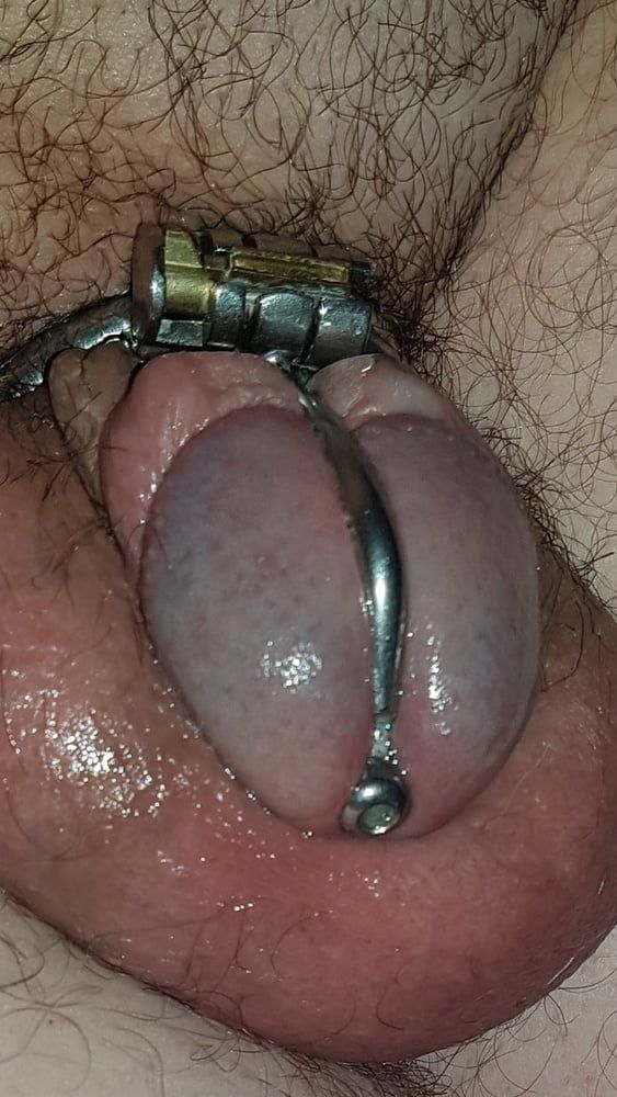 Me in Chastity Cage 1 #48