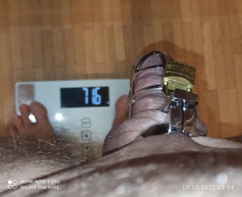 mandatory weighing and cagecheck of 17.12.2022 #3